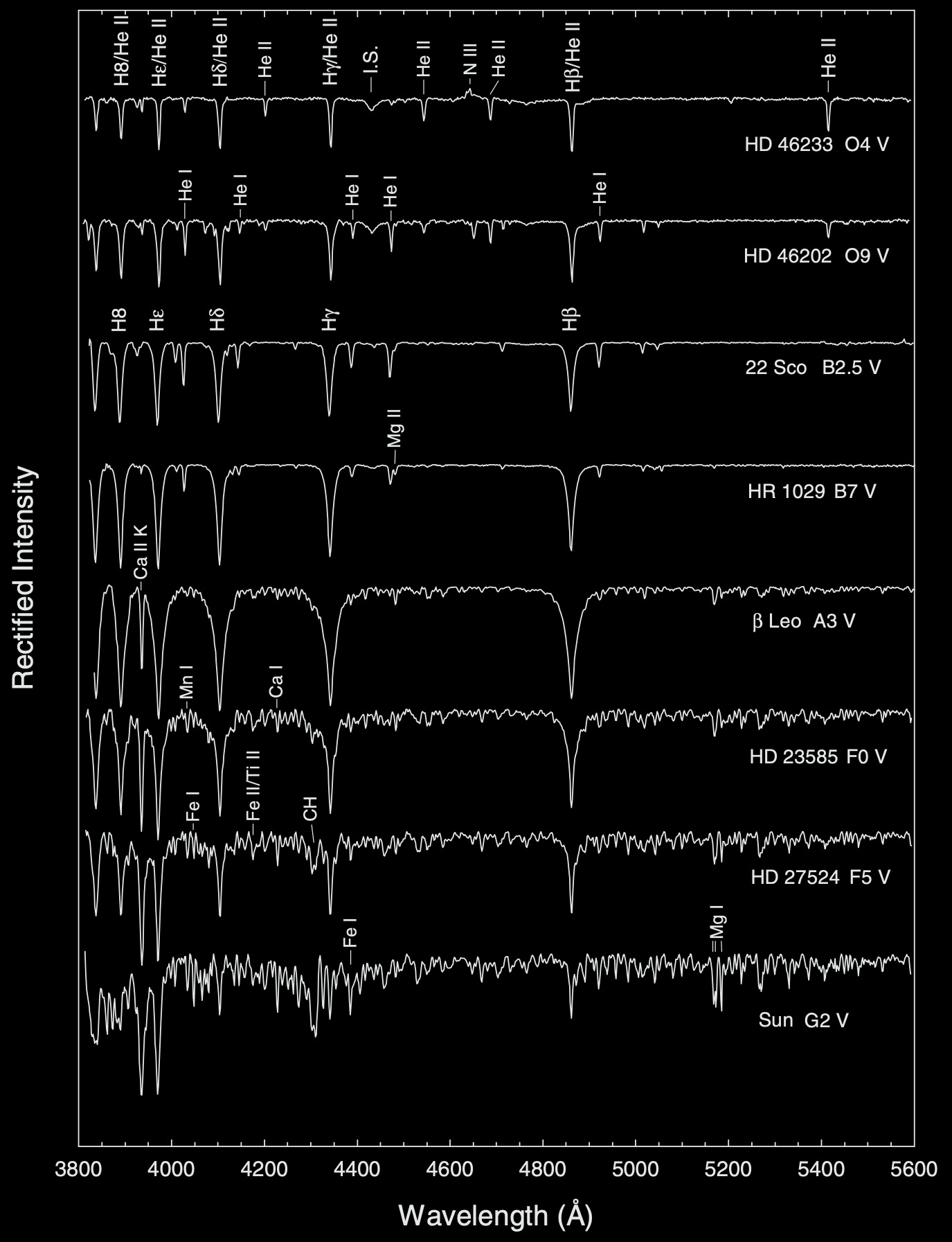 ../../_images/early_type_spectra_ms.png