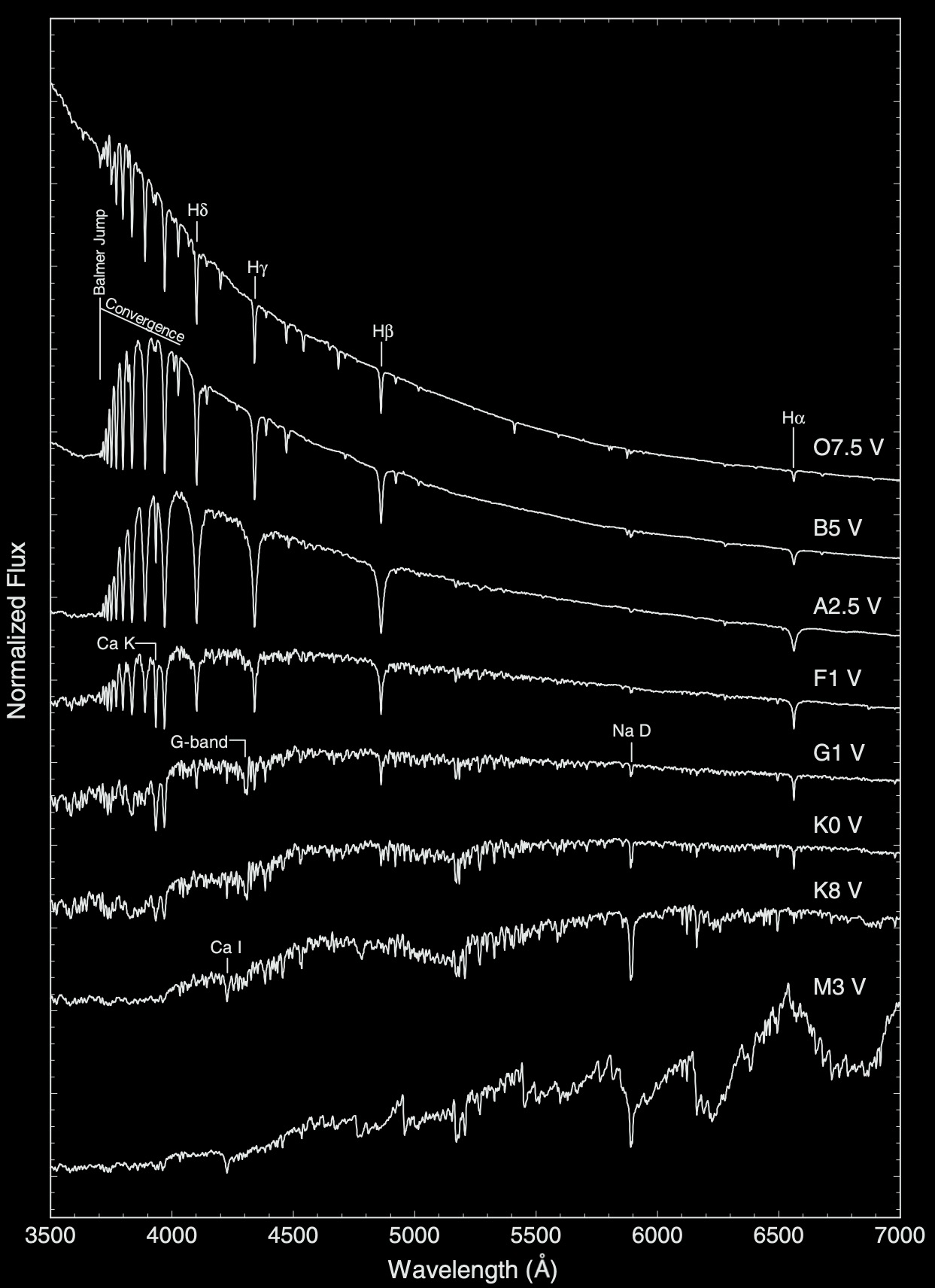 ../../_images/stellar_spectra_ms.png